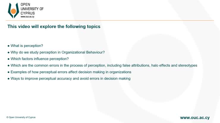 MBA511: Perception